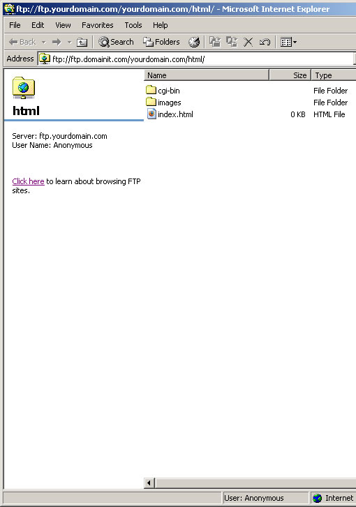 Internet Explorer FTP Setup Guide Step 3