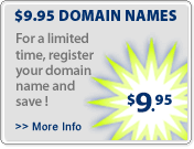 $8.95 Domain Names