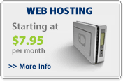 Web Hosting