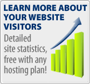 Learn about your site visitors with website statistics